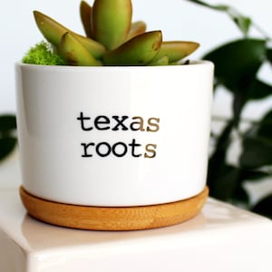 Texas roots | Texas pride | Texas gifts | Texas gift | succulent pot | small plant pot | small succulent pot