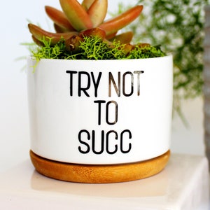 May include: White ceramic planter with a wooden base, featuring a succulent plant and the text "TRY NOT TO SUCC".