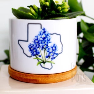 May include: White ceramic planter with a bluebonnet design and a wood base. The planter features an outline of the state of Texas with bluebonnets inside. The planter is filled with a small green plant with white flowers.