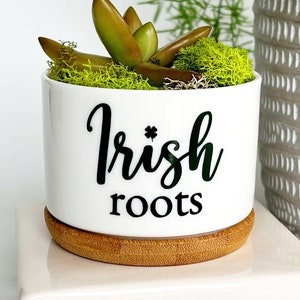 May include: A white ceramic pot with the words "Irish roots" in black script, featuring a small succulent and green moss. The pot sits on a bamboo coaster. A larger potted plant with green foliage is in the background.