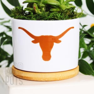 UT Austin | Longhorn | UT longhorns | university of texas at austin | university of texas student | ut student | texas football | ut alumni