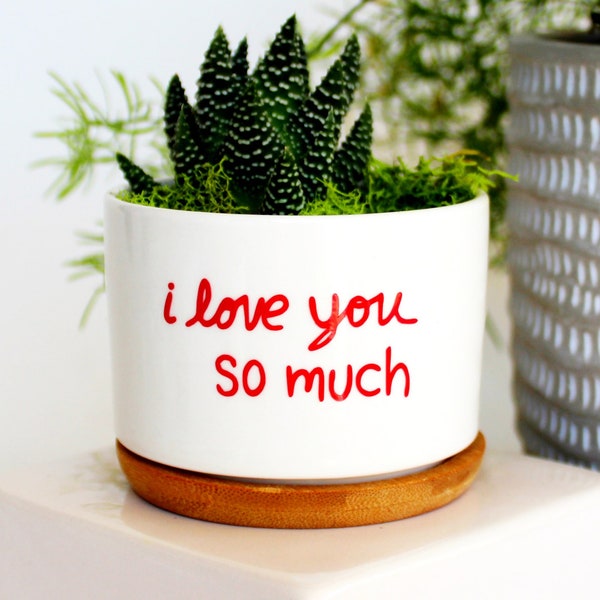 i love you so much | Austin | Austin mural | i love you wall | Austin Texas | succulent planter | Austin souvenir | trip to Austin