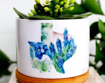Texas bluebonnet planter pot | texas state flower texas souvenir for visiting Texas bluebonnets