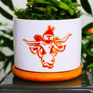Bevo | ut austin | texas football | longhorns football | ut alumni gift | ut student | gift for ut fan | university of texas at Austin