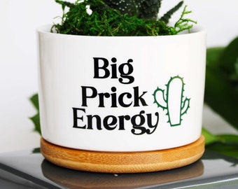 Big prick energy ™ | funny planter | funny plant pot | plant puns | pun pots | gag gift for him | funny gift | gift for guy friend