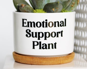 Emotional support plant, plant lover gift, get well soon, thinking of you, funny planter, bubble font