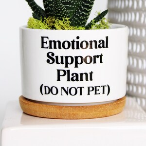 May include: White ceramic planter with a succulent plant and the text "Emotional Support Plant (Do Not Pet)".