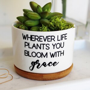 May include: White ceramic planter with a wooden base, featuring a succulent plant and the text "Wherever life plants you bloom with grace".