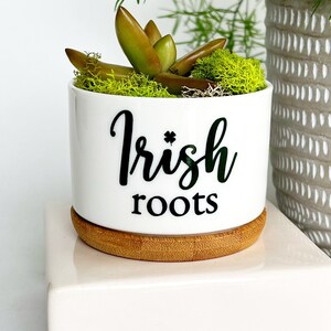 May include: A white ceramic cylindrical planter with a bamboo saucer base, featuring the black text "Irish roots" with a small clover icon. The planter contains a green succulent plant nestled in bright green moss, positioned in front of a larger gray textured pot.