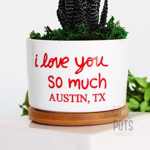 May include: A white cylindrical ceramic planter with a bamboo saucer base. The planter features red text that reads "i love you so much AUSTIN, TX". A dark green succulent plant with white speckled leaves sits inside the pot on top of green moss.