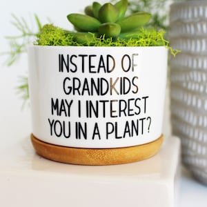 Instead of grandkids may I interest you in a plant | funny planter | mothers day gift | funny gift for parents | funny mothers day