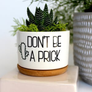 Don't be a prick | funny planter | small succulent planter | gift for friend | funny coworker | small succulent pot | snarky gift