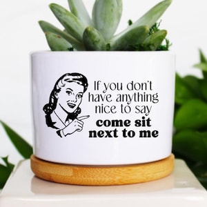May include: White ceramic planter with a succulent plant. The planter has a retro illustration of a woman and the text "If you don't have anything nice to say come sit next to me."