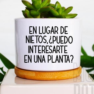 May include: White ceramic planter with a wooden base, featuring the text "En lugar de nietos, ¿puedo interesarte en una planta?" and a small succulent plant.
