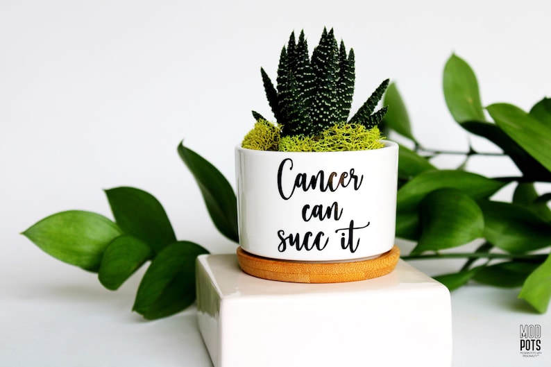 May include: A small, white ceramic pot with the text "Cancer can succ it" in black script. The pot contains a succulent plant with green moss and sits on a small, round wooden coaster. Green leaves are in the background.