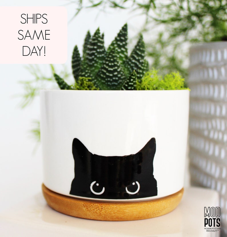 black cat planter cat plant pot cat lover gift cat pot cat planter cat planter pot cat mom black cat cats and plants cats image 1