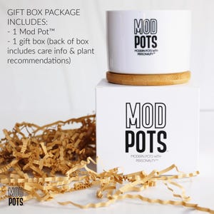Tú creces, niña / regalo de aliento / pequeña maceta suculenta / poder femenino / regalo de graduación / felicitaciones por tu nuevo trabajo / ruptura Pot w/Gift Box