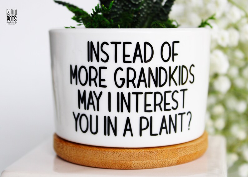 Instead of MORE Grandkids May I Interest You in a Plant | Funny Gift ...