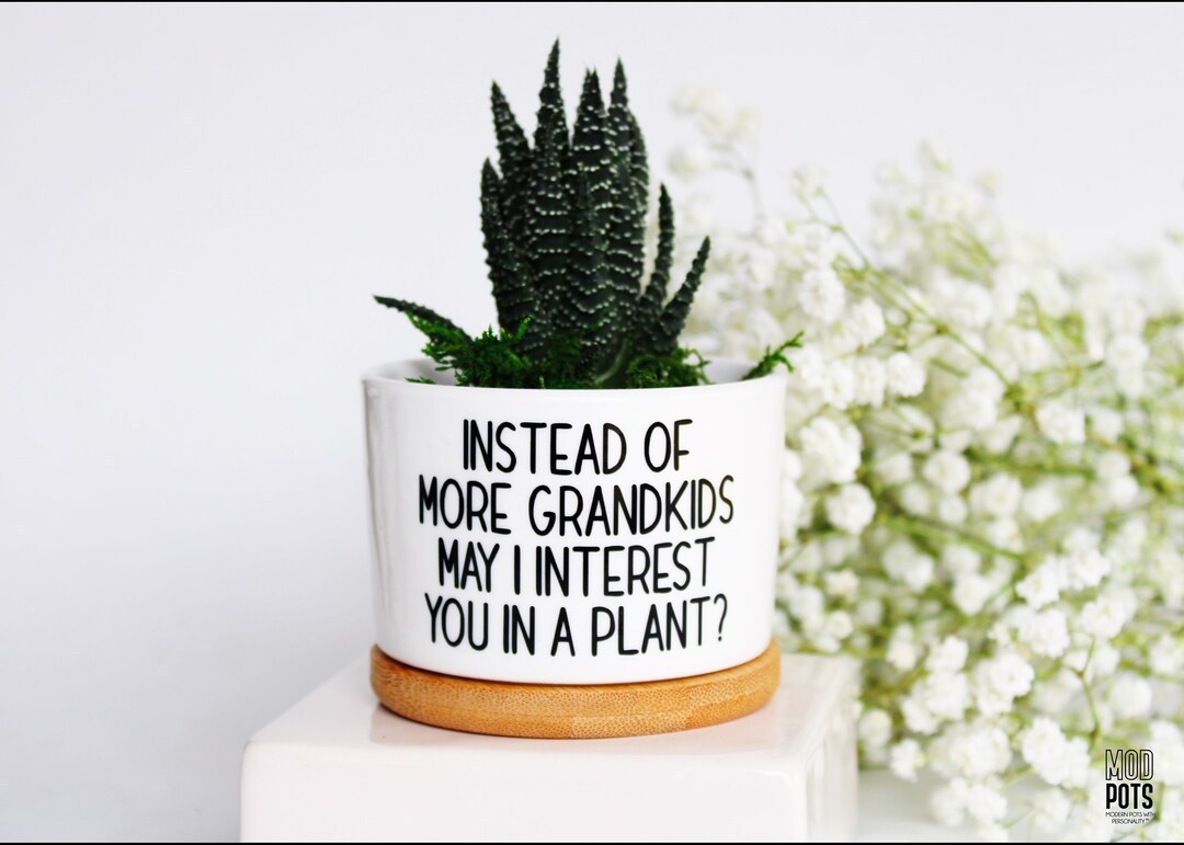 Instead of MORE Grandkids May I Interest You in a Plant | Funny Gift ...