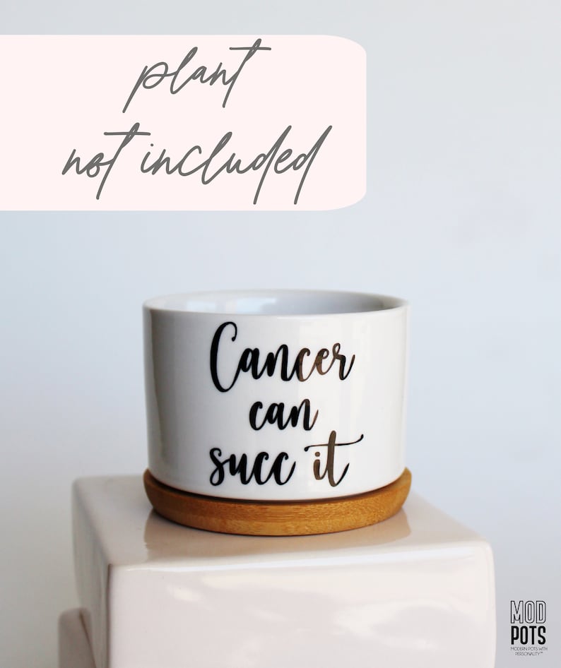 May include: White ceramic planter with the text "Cancer can succ it" in black script. The planter sits on a round, natural wood saucer. A light pink banner above reads "plant not included".