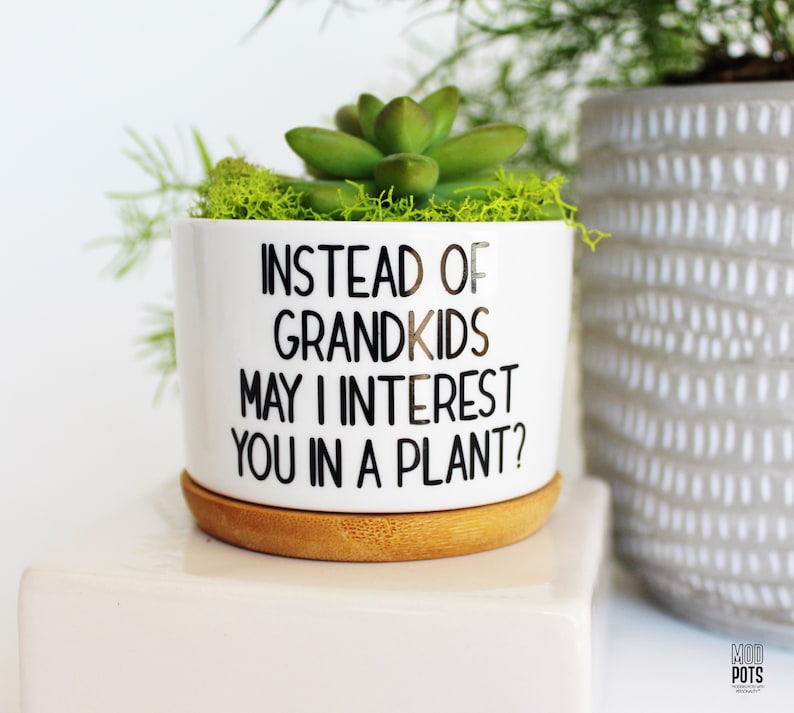 May include: A white ceramic planter with the text "INSTEAD OF GRANDKIDS MAY I INTEREST YOU IN A PLANT?" contains a green succulent and moss. The planter sits on a wooden saucer. A gray and white patterned pot is in the background.