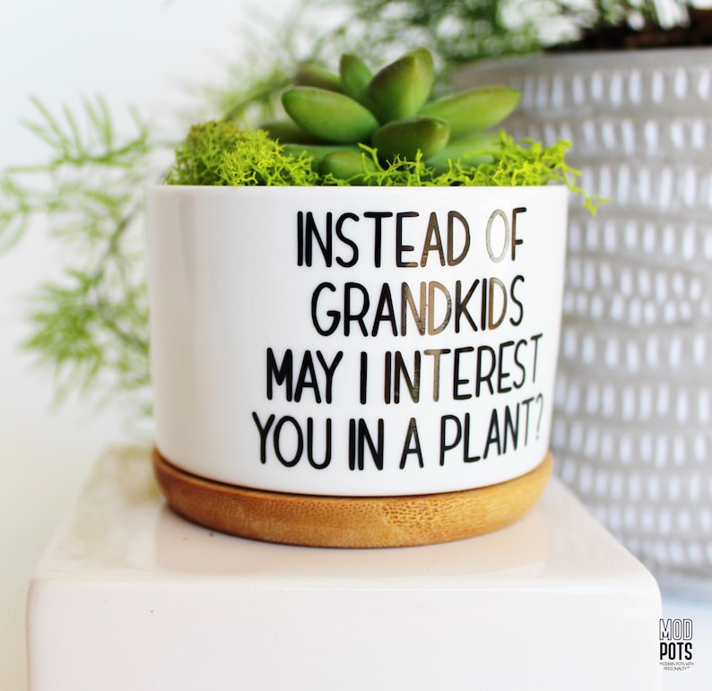 May include: White ceramic planter with the text "INSTEAD OF GRANDKIDS MAY I INTEREST YOU IN A PLANT?" holds a green succulent and moss. The planter sits on a bamboo saucer. A decorative plant is in the background.