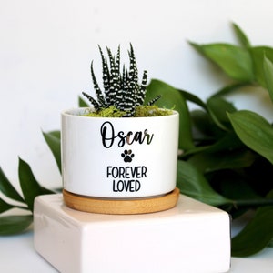 May include: White ceramic planter with a small succulent plant. The planter has a black paw print and the text "Oscar Forever Loved".