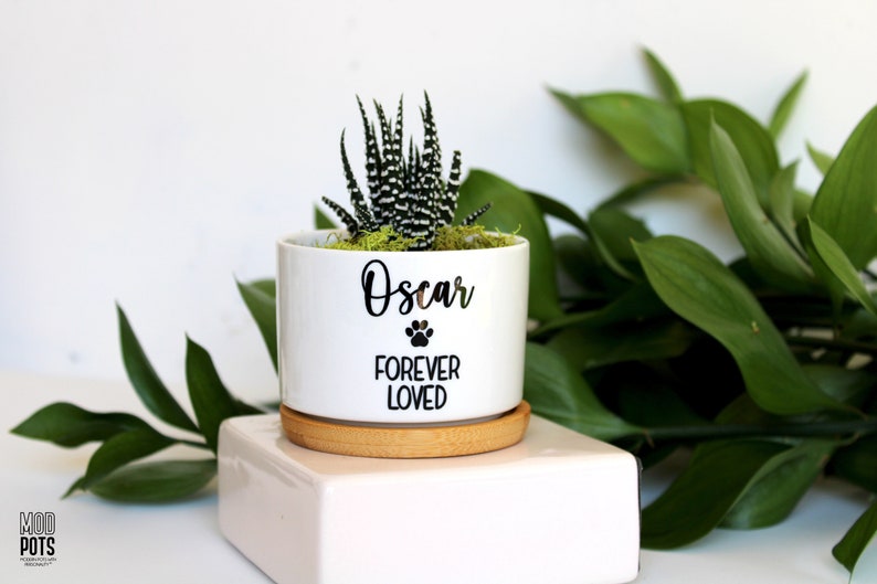 May include: White ceramic planter with a small succulent plant. The planter has a black paw print and the text "Oscar Forever Loved".