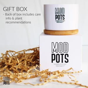 May include: A white ceramic planter with the text "MOD POTS" in black, sitting on a wooden coaster and a white box with the same logo. The box is surrounded by shredded paper. The text "GIFT BOX" is visible.
