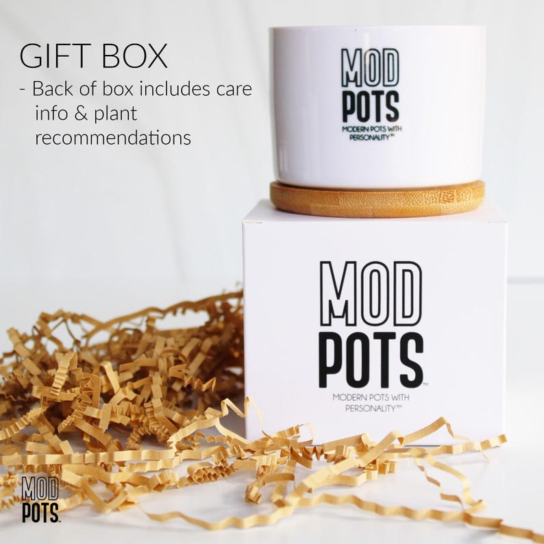May include: A white ceramic planter with the text "MOD POTS" in black, sitting on a wooden coaster and a white box with the same logo. The box is surrounded by shredded paper. The text "GIFT BOX" is visible.