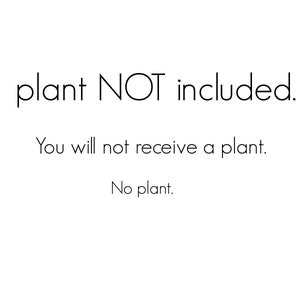 Puede incluir: Texto que dice "planta NO incluida. No recibir&aacute;s una planta. No hay planta."
