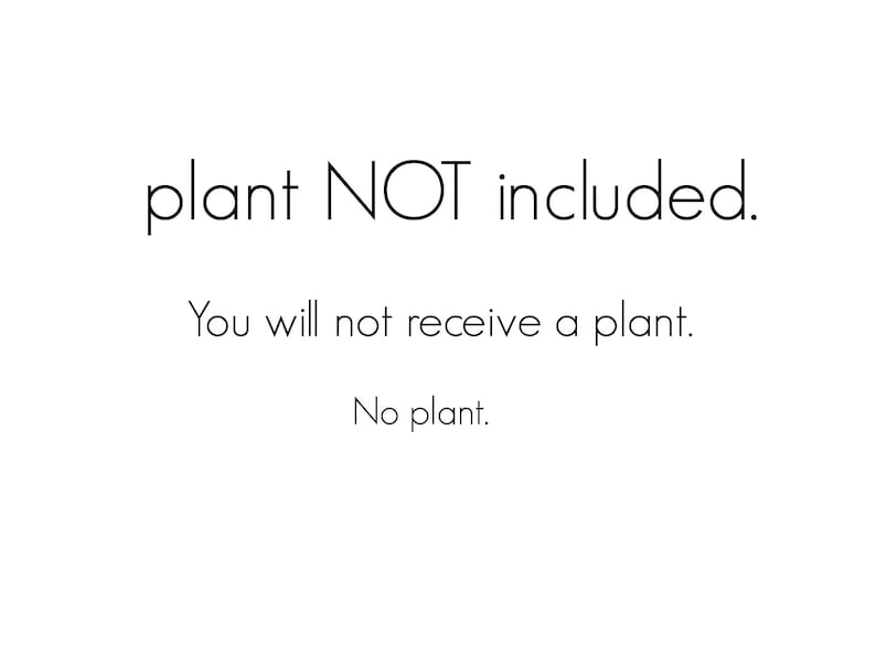 Puede incluir: Texto que dice "planta NO incluida. No recibir&aacute;s una planta. No hay planta."