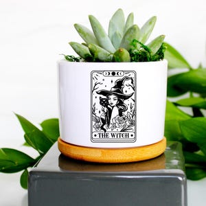 May include: A white ceramic planter with a black and white illustration of a witch and the text "The Witch". The planter sits on a wooden saucer and contains a succulent plant. Green leaves are in the background.
