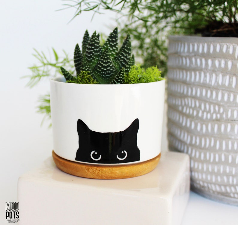 black cat planter cat plant pot cat lover gift cat pot cat planter cat planter pot cat mom black cat cats and plants cats image 10