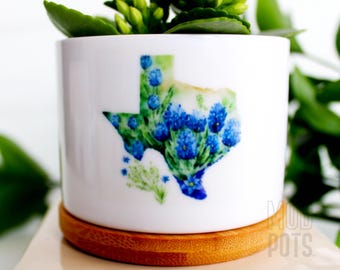 Texas Bluebonnet Mini Planter Pot with Wood Tray