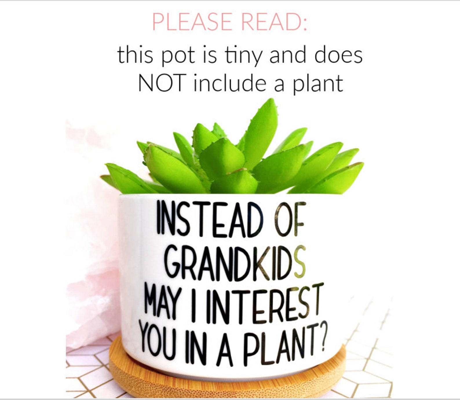 Instead of Grandkids May I Interest You in a Plant Plant Pot - Etsy