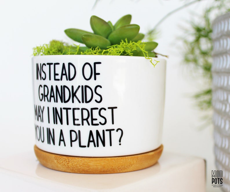 Instead of grandkids may I interest you in a plant funny planter mothers day gift funny gift for parents funny mothers day image 5