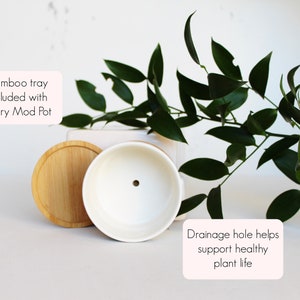 Puede incluir: Maceta de cer&aacute;mica blanca con un agujero de drenaje y una bandeja de bamb&uacute;. El texto "Drainage hole helps support healthy plant life" est&aacute; escrito debajo de la maceta. El texto "Bamboo tray included with every Mod Pot" est&aacute; escrito en la esquina superior izquierda de la imagen.