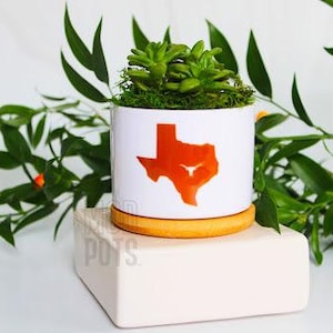 University of Texas Longhorn in Texas Shape | ut austin | UT | Texas Longhorns | hook em horns | UT alumni | University of Texas Austin
