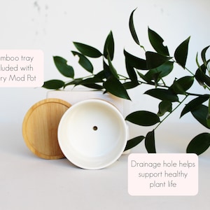 May include: A white ceramic Mod Pot planter with a bamboo tray and drainage hole. The planter is round with a single drainage hole. The bamboo tray is circular. Green leaves are in the background. Text on the image says "Bamboo tray included with every Mod Pot" and "Drainage hole helps support healthy plant life."