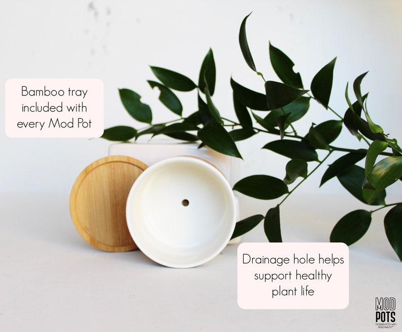 May include: A white ceramic Mod Pot planter with a bamboo tray and drainage hole. The planter is round with a single drainage hole. The bamboo tray is circular. Green leaves are in the background. Text on the image says "Bamboo tray included with every Mod Pot" and "Drainage hole helps support healthy plant life."