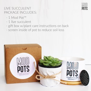 May include: A live succulent package includes a Mod Pot, a live succulent, a gift box, and a screen. The Mod Pots are white with black text. The succulent is in a white pot tied with twine. The gift box is brown.