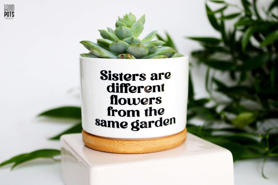 Sisters Are Different Flowers From the Same Garden | Sister Gift ...