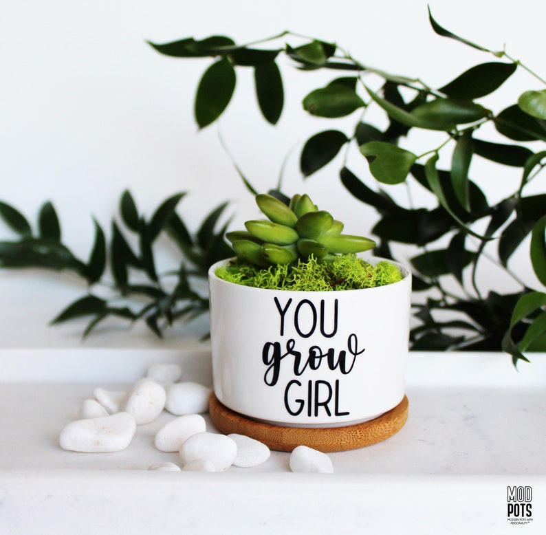 Puede incluir: Maceta de cer&aacute;mica blanca con una planta suculenta y el texto "You grow girl" en letras negras. La maceta tiene una base de bamb&uacute;.
