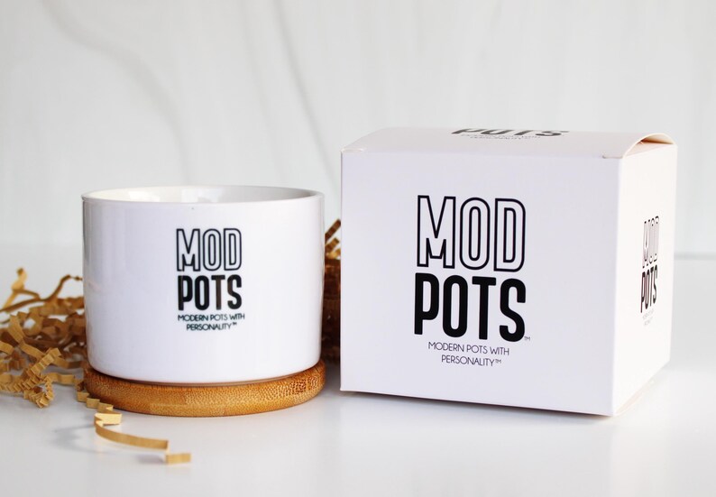 Mod Pots Gift Box - Etsy