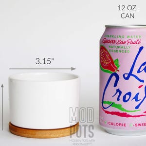 K&ouml;nnte beinhalten: Ein wei&szlig;er Keramik-Pflanztopf, 5,3 cm hoch und 8 cm breit, steht auf einem Holzuntersetzer. Daneben befindet sich eine rosa La Croix-Dose mit den Worten "Guava S&atilde;o Paulo" und "La Croix".