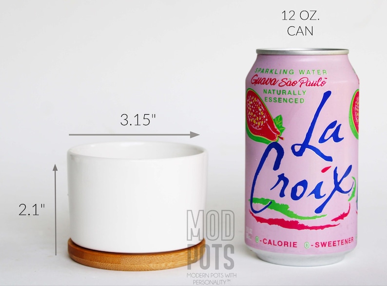 K&ouml;nnte beinhalten: Ein wei&szlig;er Keramik-Pflanztopf, 5,3 cm hoch und 8 cm breit, steht auf einem Holzuntersetzer. Daneben befindet sich eine rosa La Croix-Dose mit den Worten "Guava S&atilde;o Paulo" und "La Croix".