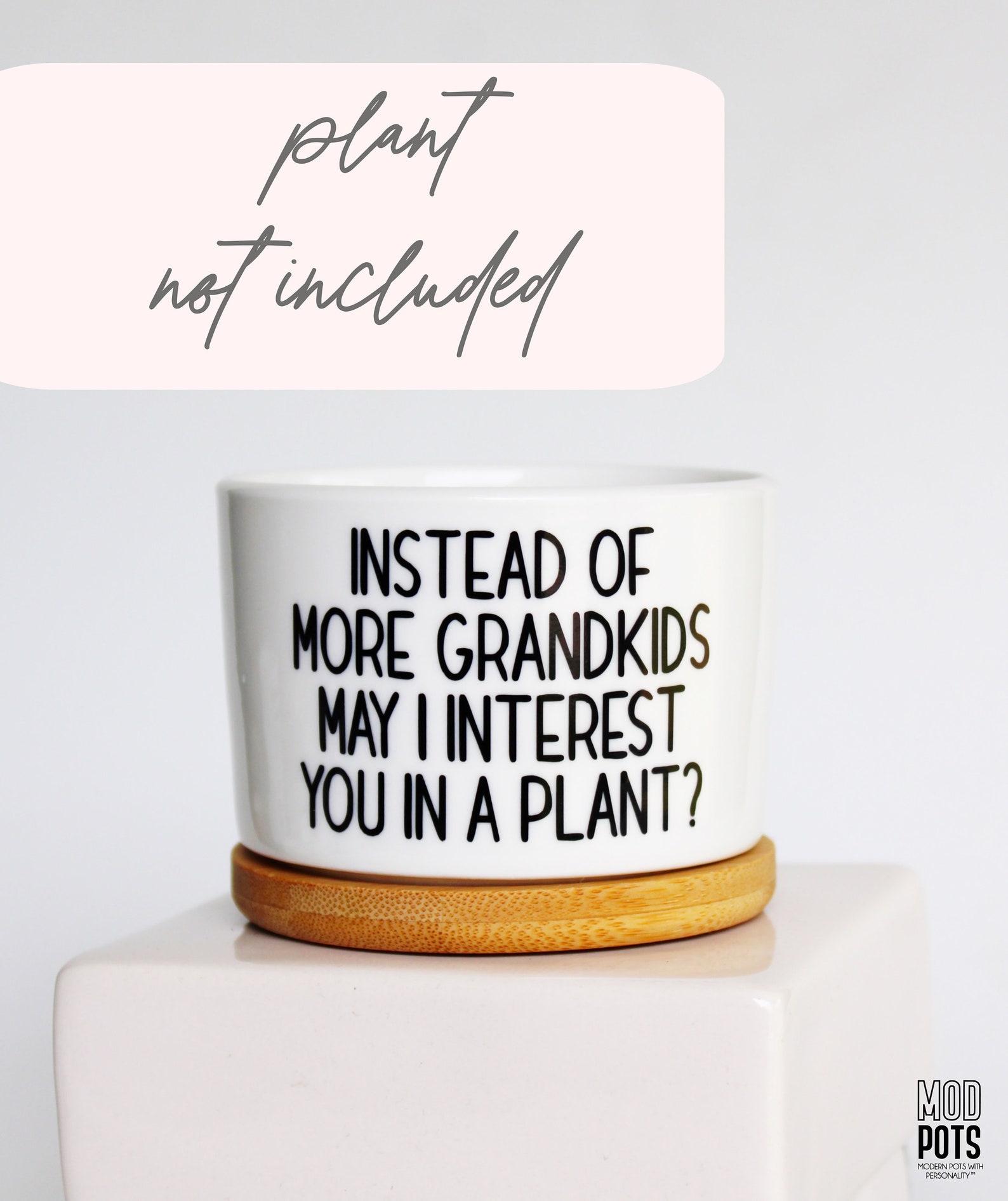 Instead of MORE Grandkids May I Interest You in a Plant | Funny Gift ...
