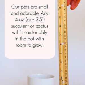 Puede incluir: Una maceta de cer&aacute;mica blanca con una base de madera, que mide 6,35 cm de di&aacute;metro, se muestra junto a una regla. El texto en la imagen dice: "Nuestras macetas son peque&ntilde;as y adorables. Cualquier suculenta o cactus de 4 oz (tambi&eacute;n conocido como 2,5") cabr&aacute; c&oacute;modamente en la maceta con espacio para crecer!"