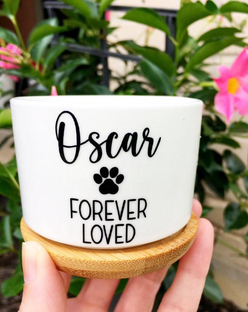 May include: White ceramic planter with a black paw print and the text "Oscar Forever Loved" on a bamboo base.